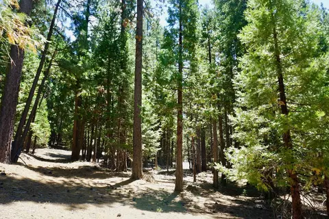 1509 Ringtail Rd, Clio, CA 96106 photo 4