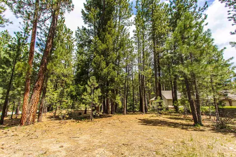 1009 Penman Ln, Graeagle, CA 96103 photo 30