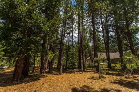 1009 Penman Ln, Graeagle, CA 96103 photo 29