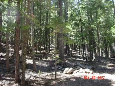 5645 Wildroot Dr, Clio, CA 96106 photo 4