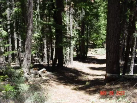 5645 Wildroot Dr, Clio, CA 96106 photo 5