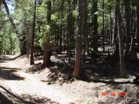 5645 Wildroot Dr, Clio, CA 96106 photo 1