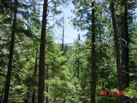 5645 Wildroot Dr, Clio, CA 96106 photo 10