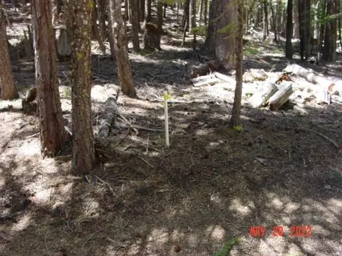 5645 Wildroot Dr, Clio, CA 96106 photo 2