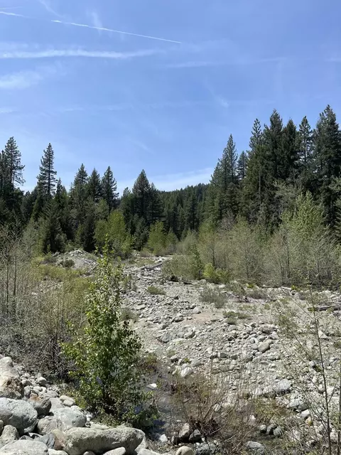 15 Miwok Trl, Graeagle, CA 96103 photo 30