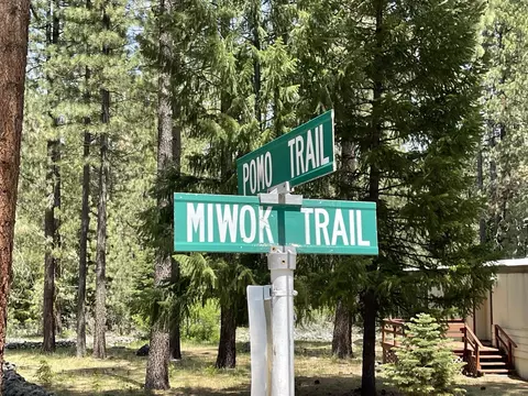 15 Miwok Trl, Graeagle, CA 96103 photo 29