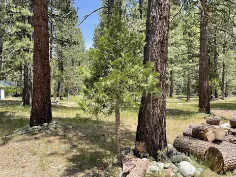 15 Miwok Trl, Graeagle, CA 96103 photo 27