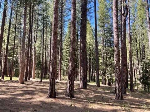100 Cedar Ln, Calpine, CA 96124 photo 2