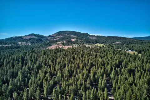 69270 Chipmunk Rd, Blairsden, CA 96103 photo 15