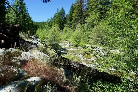 20 Pomo Trl, Graeagle, CA 96103 photo 7