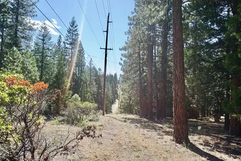 69400 Chipmunk Rd, Blairsden, CA 96103 photo 29