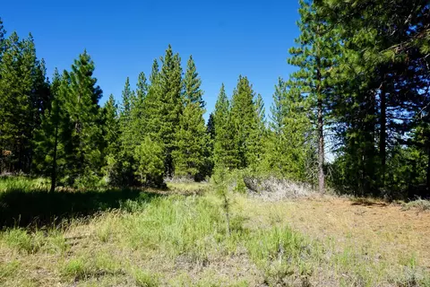 69400 Chipmunk Rd, Blairsden, CA 96103 photo 28