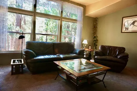 69400 Chipmunk Rd, Blairsden, CA 96103 photo 14