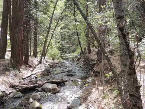 58929 Little Long Valley Creek Rd, Cromberg, CA 96103