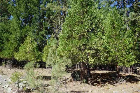 8 Huchnom Trl, Graeagle, CA 96103 photo 4