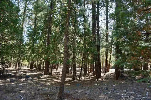 8 Huchnom Trl, Graeagle, CA 96103 photo 9
