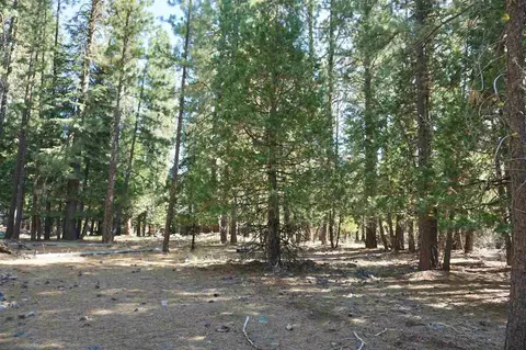 8 Huchnom Trl, Graeagle, CA 96103 photo 8