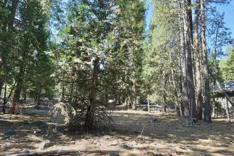 8 Huchnom Trl, Graeagle, CA 96103 photo 7