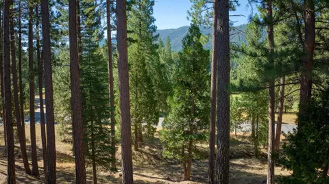 85 Bridle Path, Clio, CA 96106 photo 4