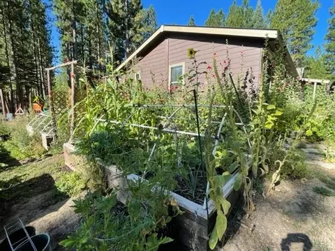 449 Main St, Calpine, CA 96124 photo 17