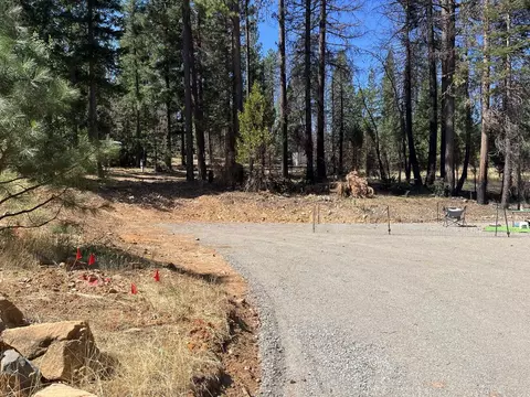 42 Cheney St, Greenville, CA 95947