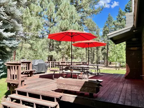 29 E Pinion Pine Cir, Blairsden, CA 96103 photo 8