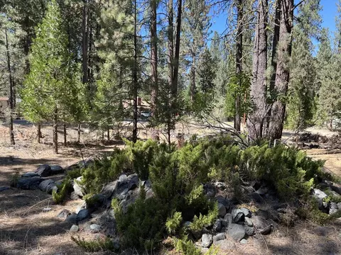 9 Mattole Trl, Graeagle, CA 96103 photo 20