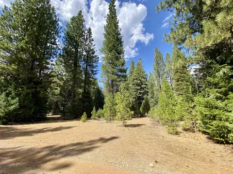1301 Lodgepole Trl, Johnsville, CA 96103