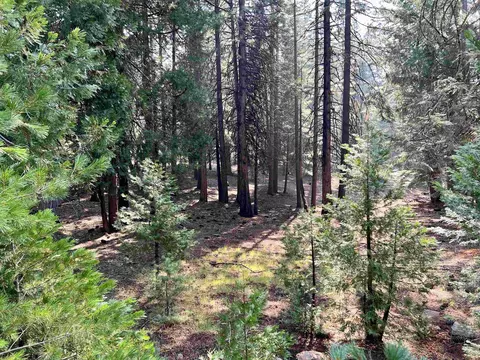 712 Timber Ridge Rd, Lake Almanor, CA 96137