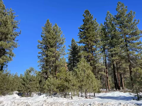 880 First Ave, Chester, CA 96020 photo 2