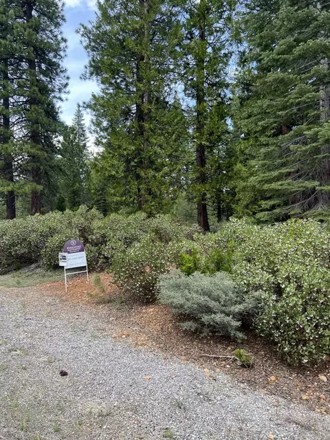 45 Highwood Cir, Lake Almanor, CA 96137