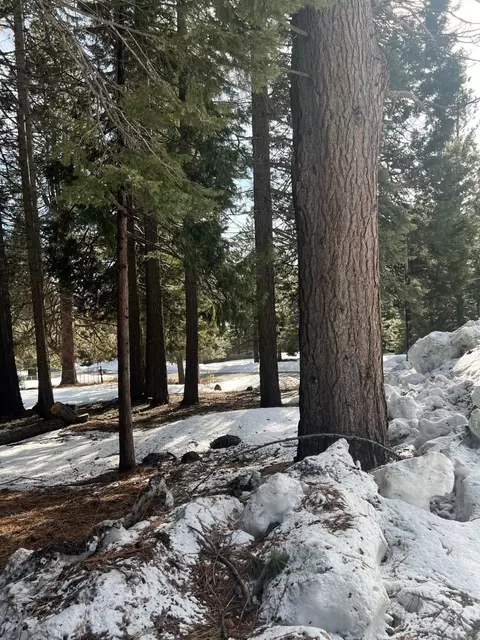 846 Timber Ridge Rd, Lake Almanor, CA 96137