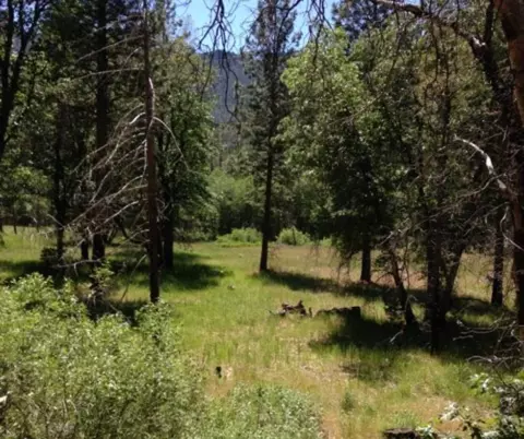 7400 Diamond Mountain Rd, Taylorsville, CA 95983