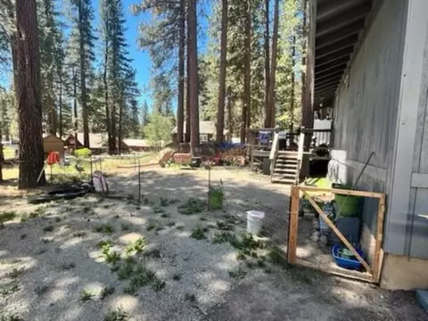 107 Coates Ave, Calpine, CA 96124 photo 12
