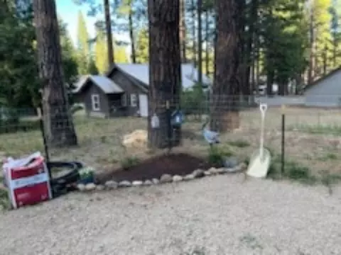 107 Coates Ave, Calpine, CA 96124 photo 20