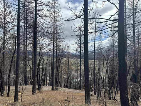 137 Williams Valley Rd, Greenville, CA 95947