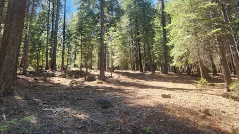 180 Slim Dr #2, Lake Almanor West, CA 96020