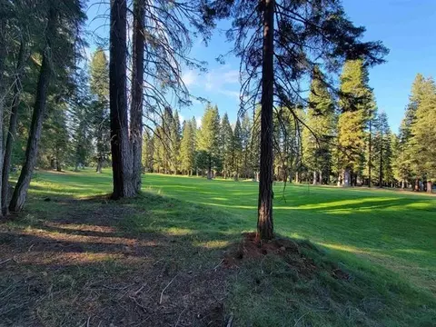 167 Slim Dr, Lake Almanor, CA 96020 photo 3