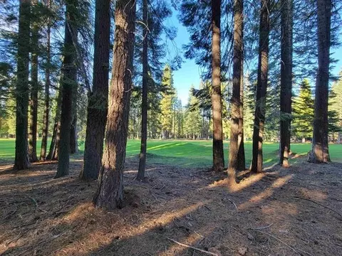 167 Slim Dr, Lake Almanor, CA 96020 photo 1