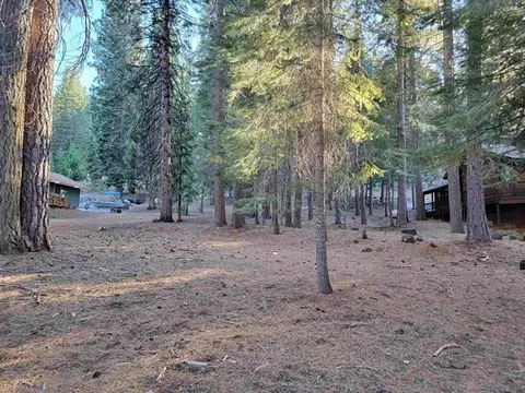 167 Slim Dr, Lake Almanor, CA 96020 photo 4