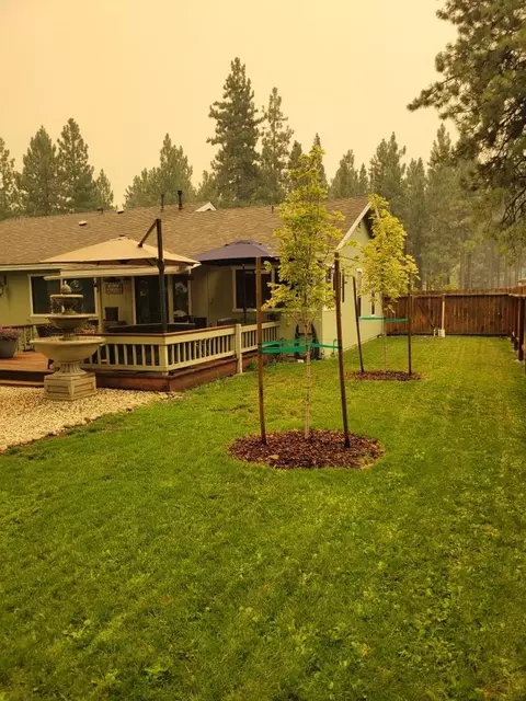 485 Watson Rd, Chester, CA 96020 photo 17