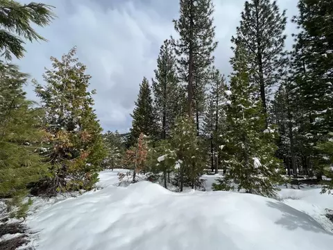 848 Startop #10, Portola, CA 96122