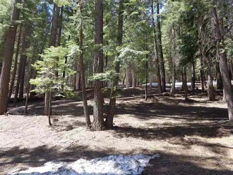 659 Pine Canyon Rd, Lake Almanor West, CA 96137