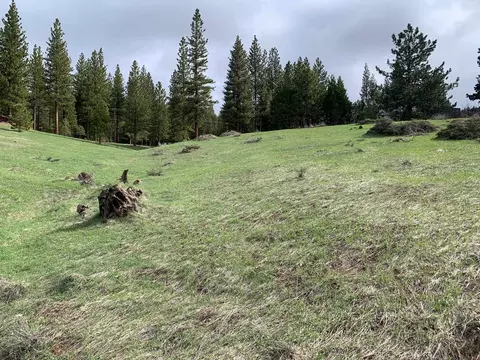 3345 Fawn Ln, Portola, CA 96122