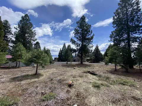 3385 Springwood Cir, Hamilton Branch, CA 96137