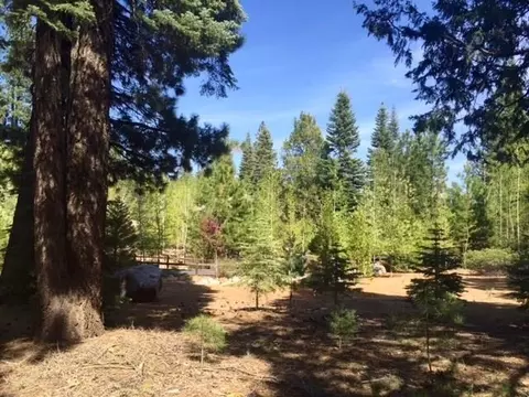 105 Foxhollow Dr #FH, Lake Almanor, CA 96137