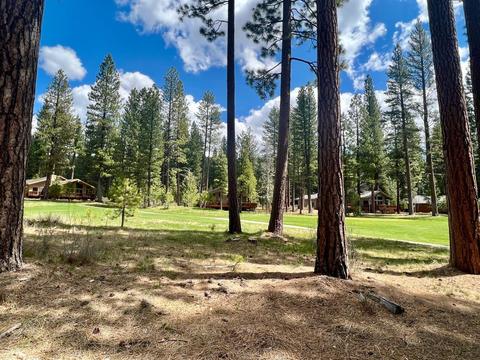 138 Black Bear Trl, Clio, CA 96106 photo 1