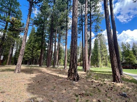 138 Black Bear Trl, Clio, CA 96106 photo 8