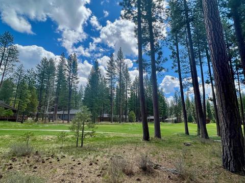 138 Black Bear Trl, Clio, CA 96106 photo 2