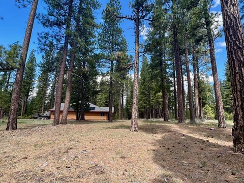 138 Black Bear Trl, Clio, CA 96106 photo 9